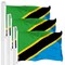 G128 3 Pack: Tanzania Tanzanian Flag | 3x5 Ft | LiteWeave Pro Series Printed 150D Polyester | Country Flag, Indoor/Outdoor, Vibrant Colors, Brass Grommets, Thicker and More Durable Than 100D 75D Poly